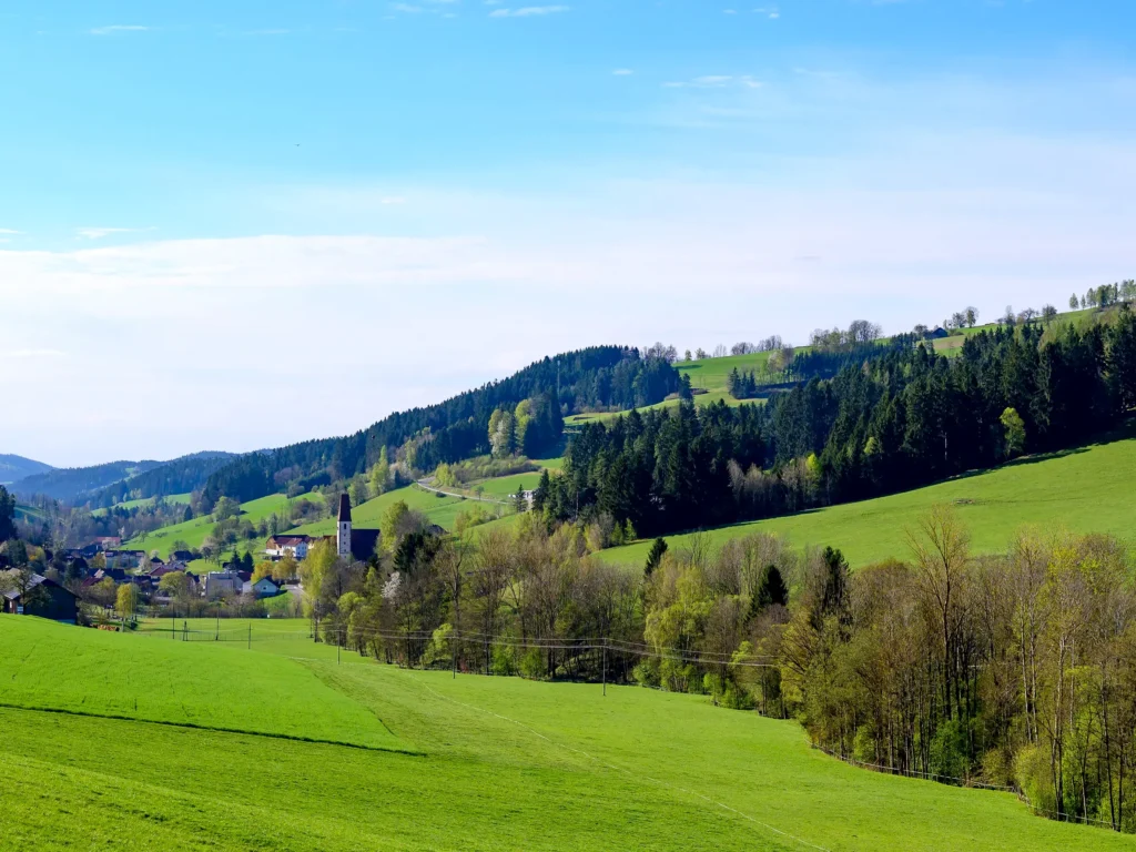 Hügellandschaft im oberen Mühlviertel nahe dem Schmankerlwirt in Vorderweißenbach